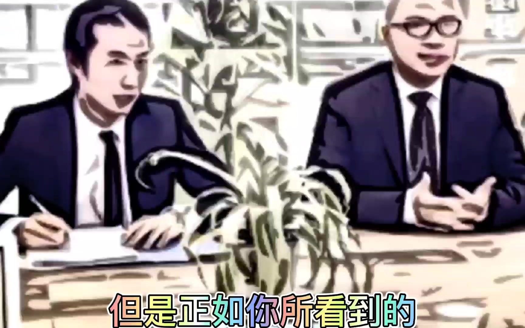 搞笑版打工仔是如何通过努力成为老板身边的红