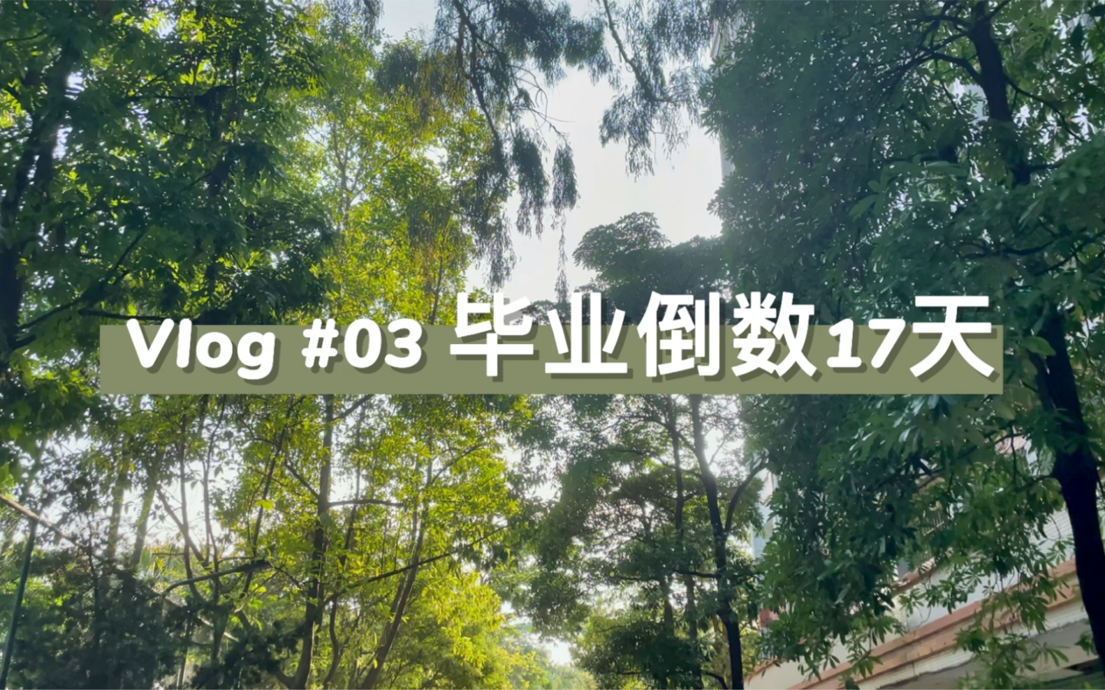 中山大学｜vlog #03 毕业倒数17天啦～