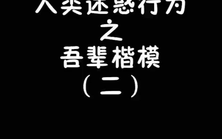 人类迷惑行为—吾辈楷模二（但凡长点心也不至