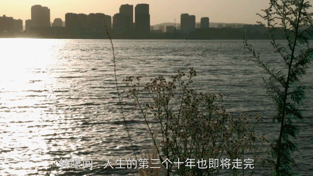 南京艺术学院1分钟视听语言作业#摄影