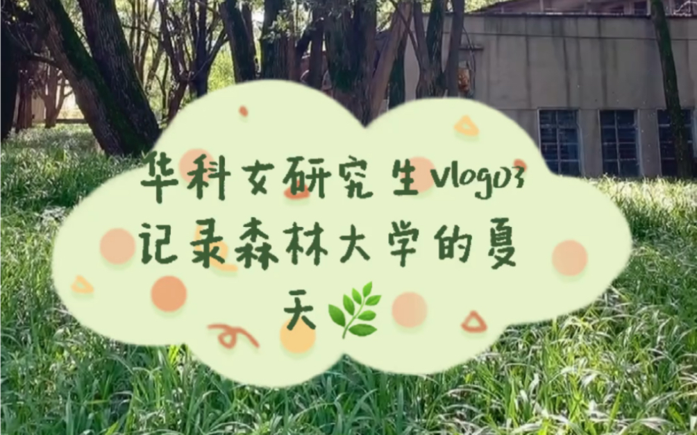 华科女研究生vlog03 森林大学的夏天