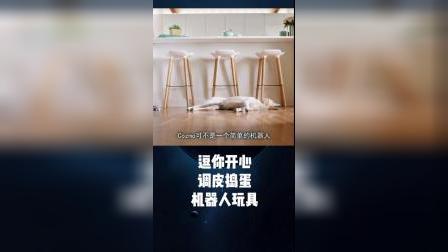 你知道能帮你逗猫逗狗，还能逗你的机器人是什