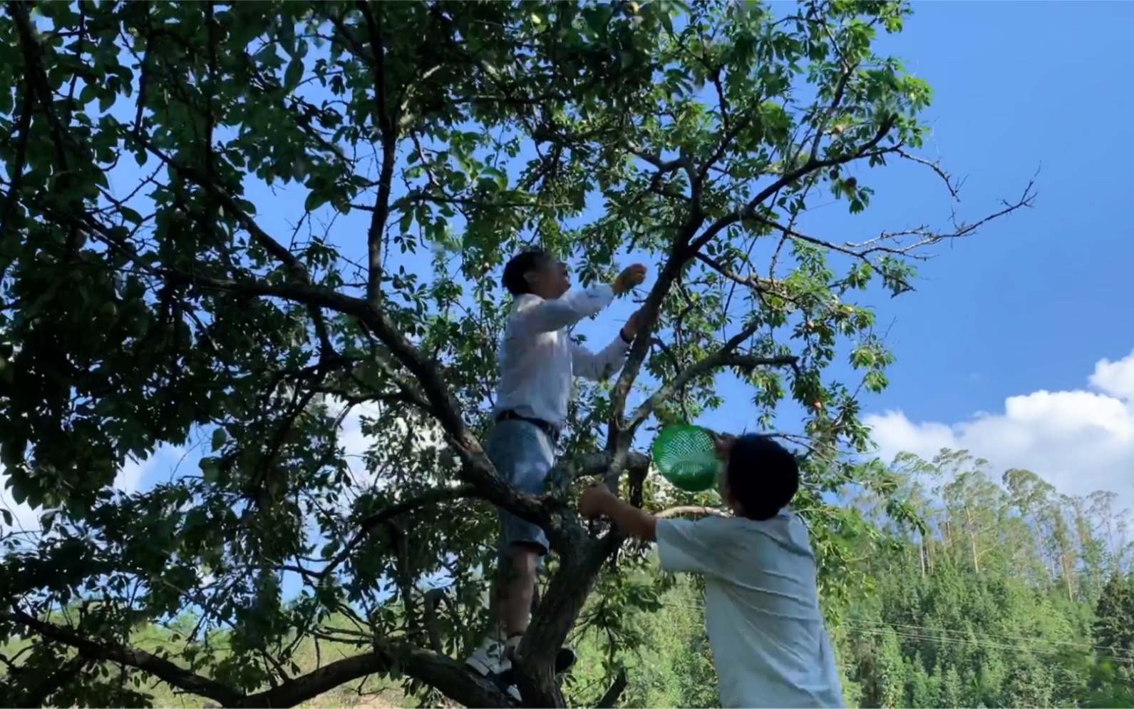 学生时代是一生最美好的时光：听学生讲校园趣