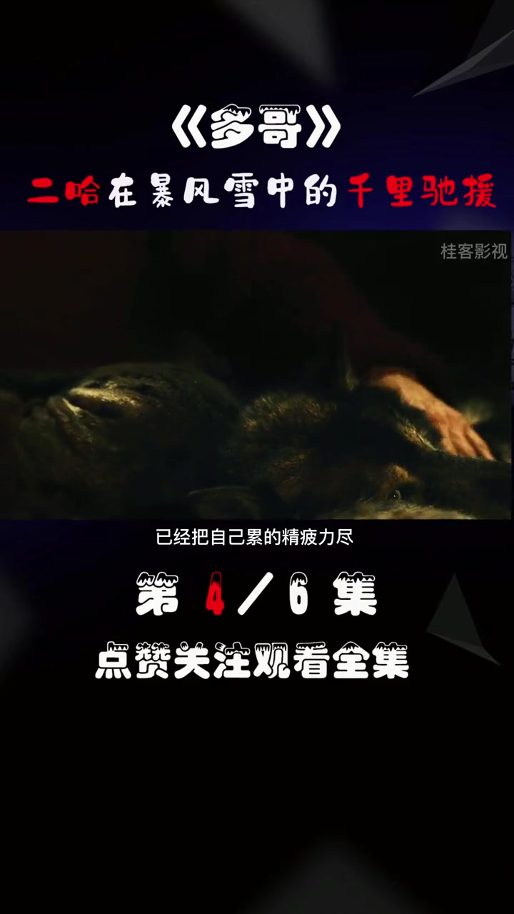 KS102. 1925年真实故事改编的#电影 二哈是史上最英
