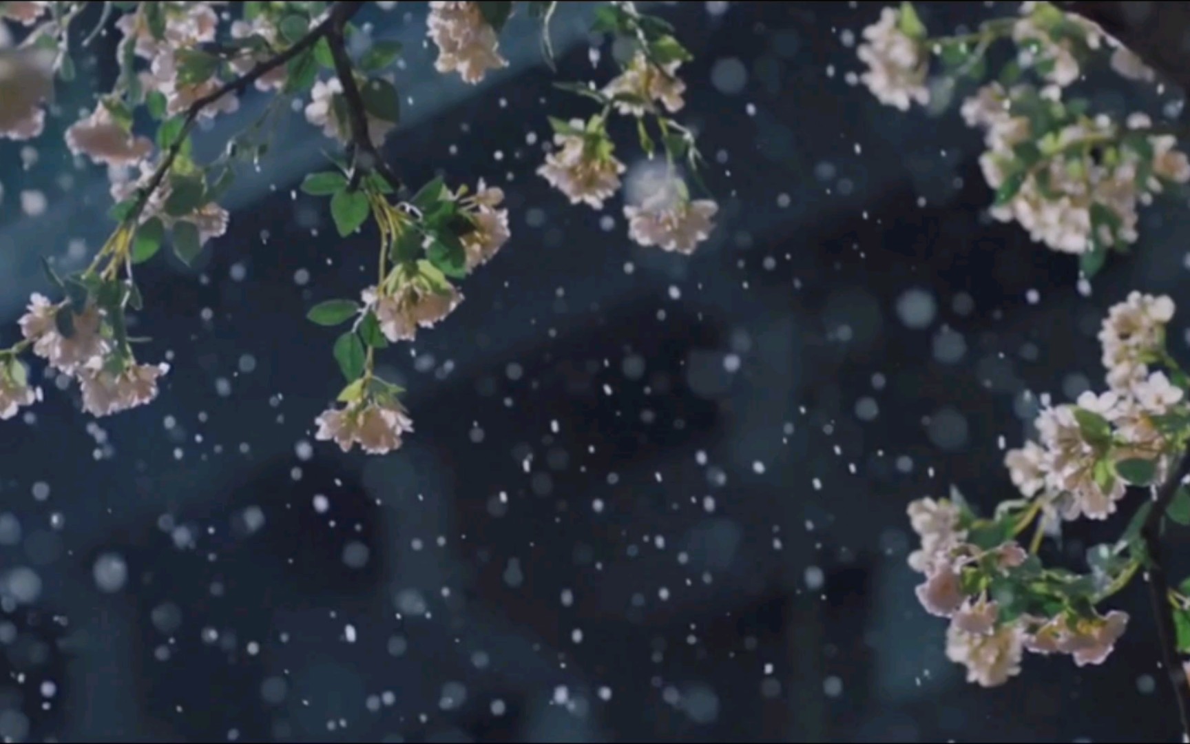 【古风空镜】灯笼，女子坐在树上，下雪，花，