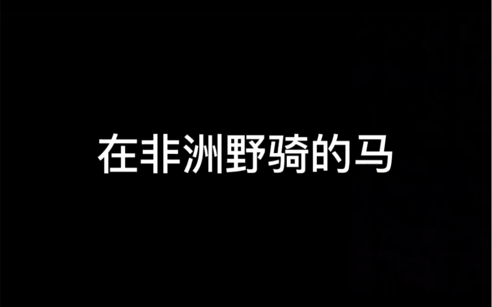 马术幽默：非洲马vs欧洲马