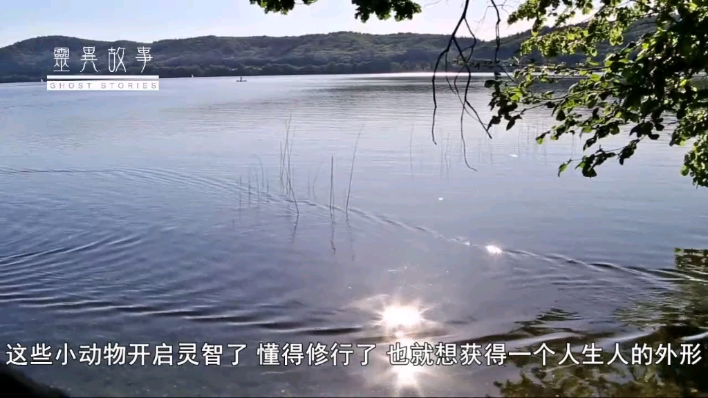 仙家讨封横遭雷劫