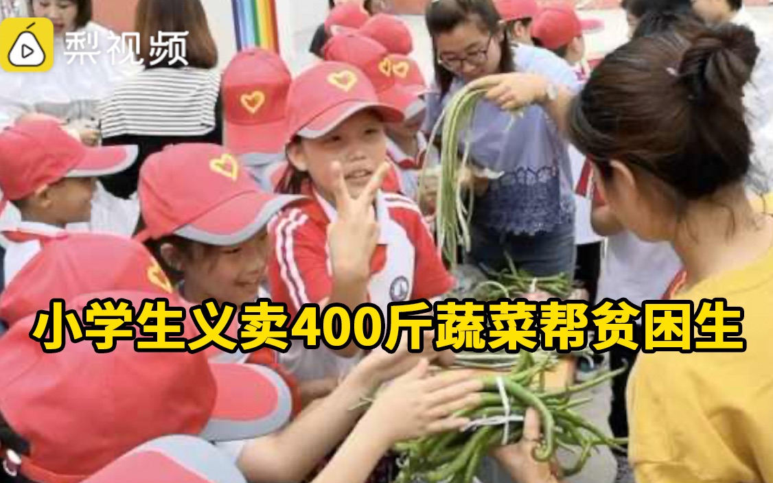 开心农场大丰收！小学生义卖400多斤蔬菜帮贫困
