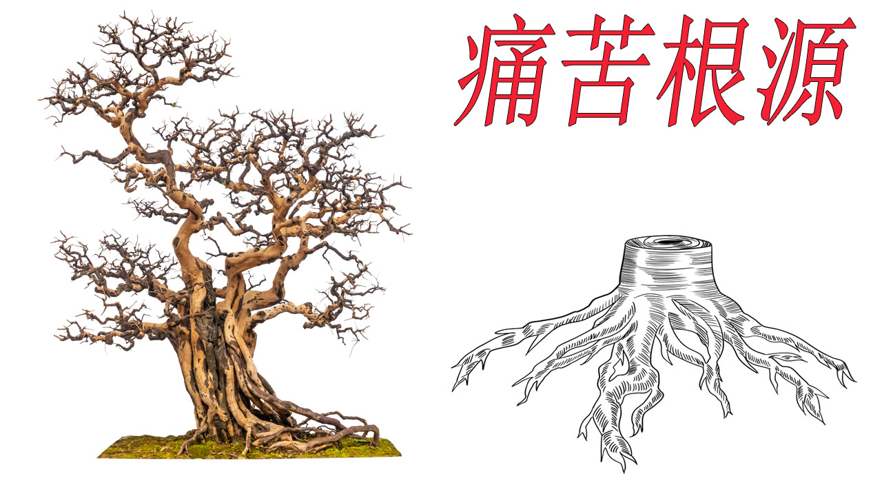 为什么有些人会感觉痛苦？视频详细给你讲解