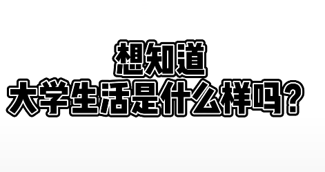 在二外上学是什么体验一起来看看