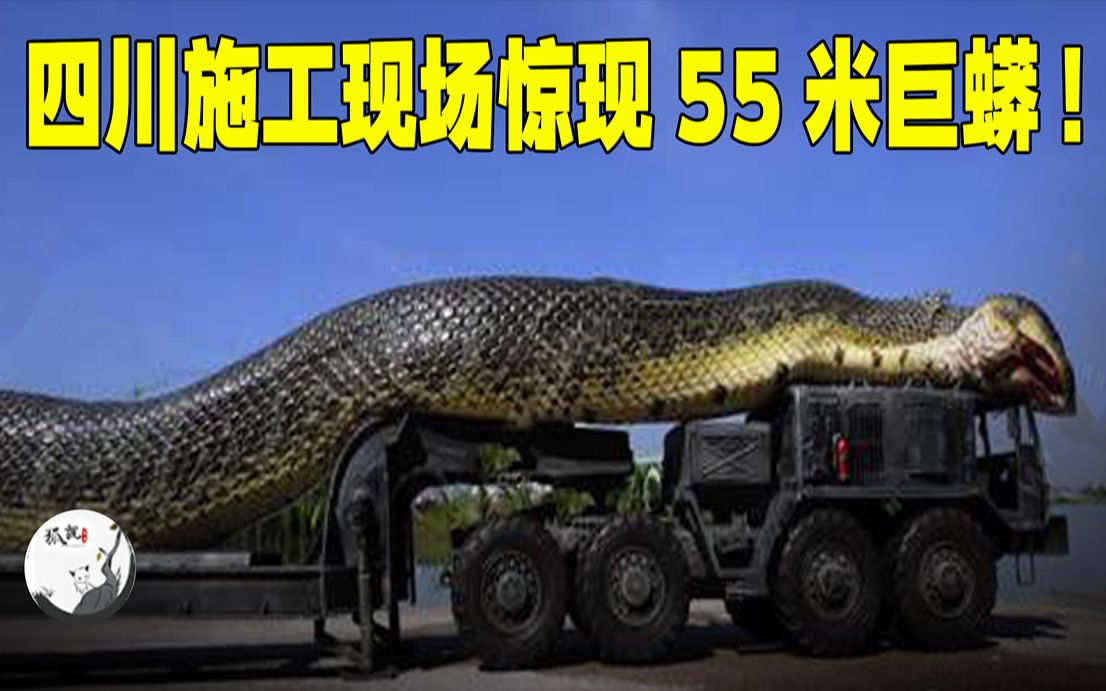 四川施工现场惊现55米巨蟒，喝干山泉吓死矿工