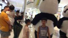 老李上传：外孙LFC在银泰城逗两只假熊猫玩耍。