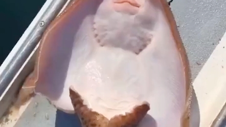 咯吱咯吱咯吱咯吱~~~