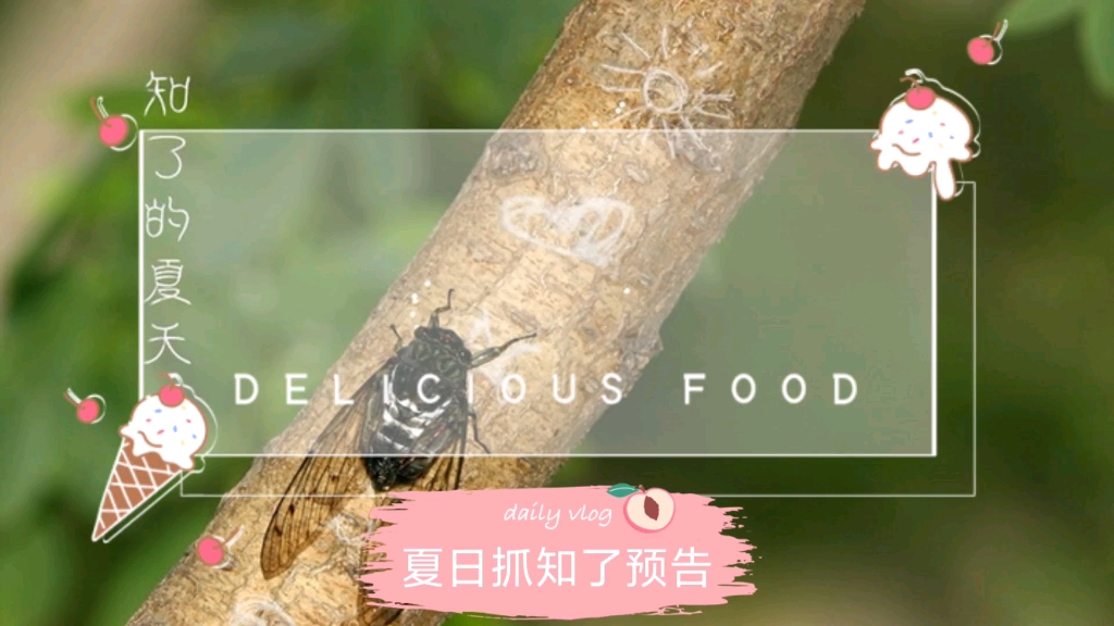 夏日，陪伴家人一起，追寻夏日的标签，小知了