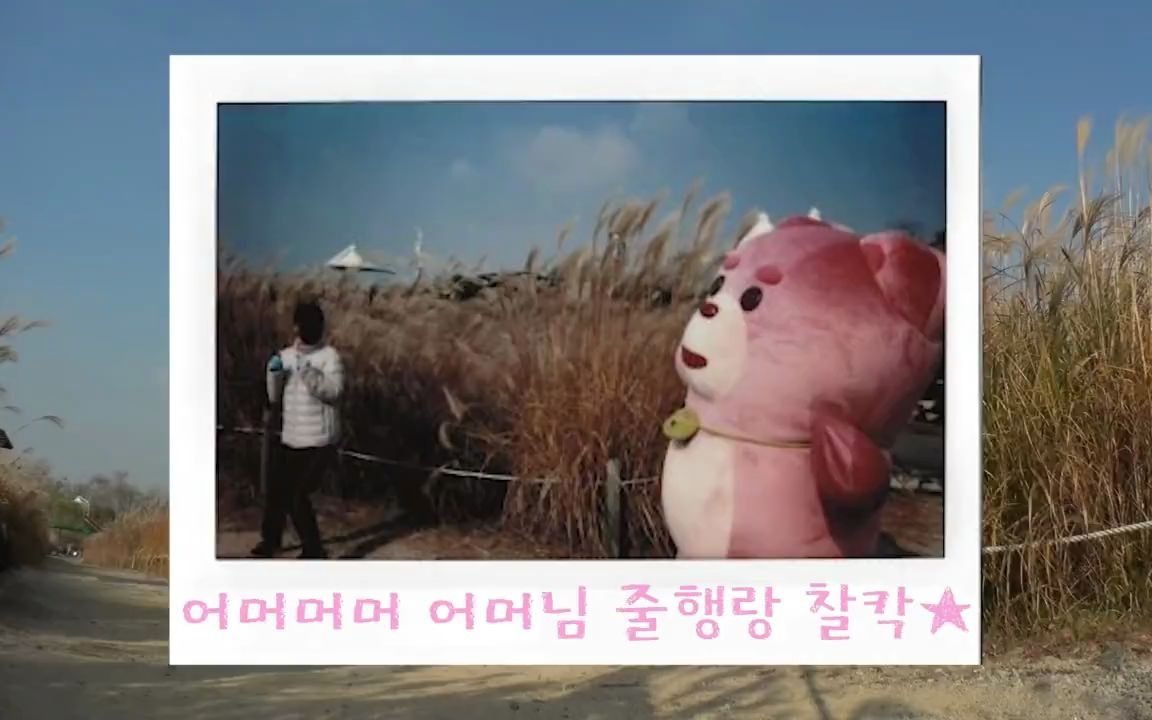 （恶作剧搞笑视频）粉红熊玩偶二十八，惊吓行