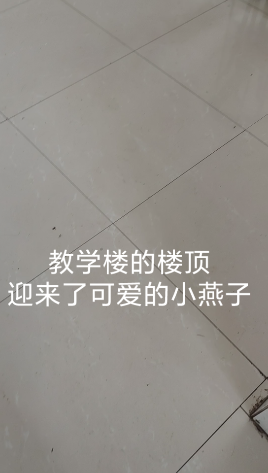 学期结束，教学楼迎来了可爱的“它们”