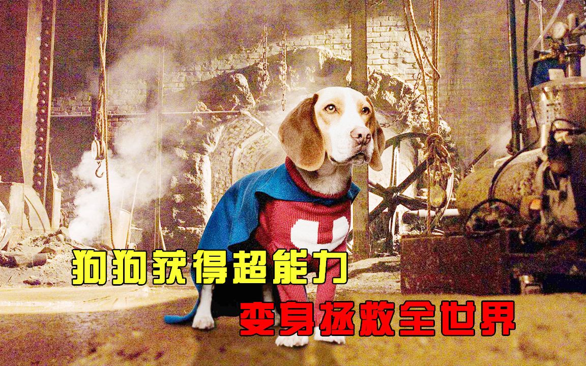 狗狗意外获得超能力，变身拯救全世界