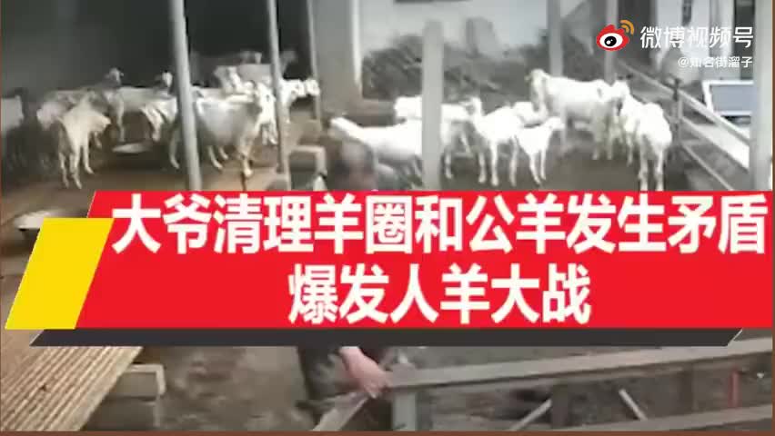 在我地盘跟我叫板，顶出去！