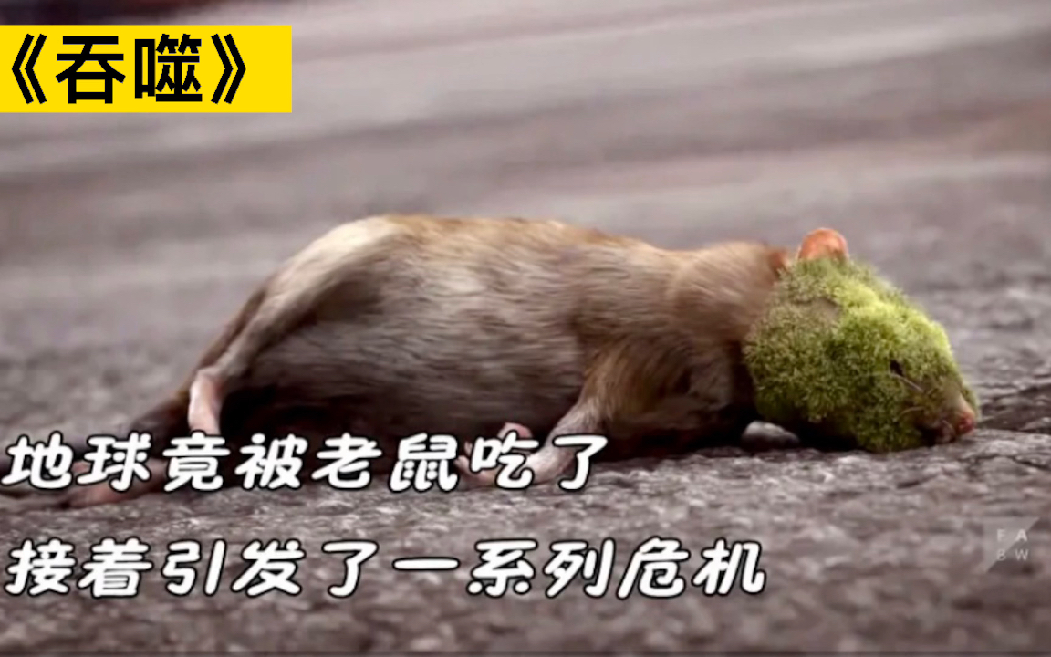 地球竟被老鼠吃了？接着引发了一系列危机《吞