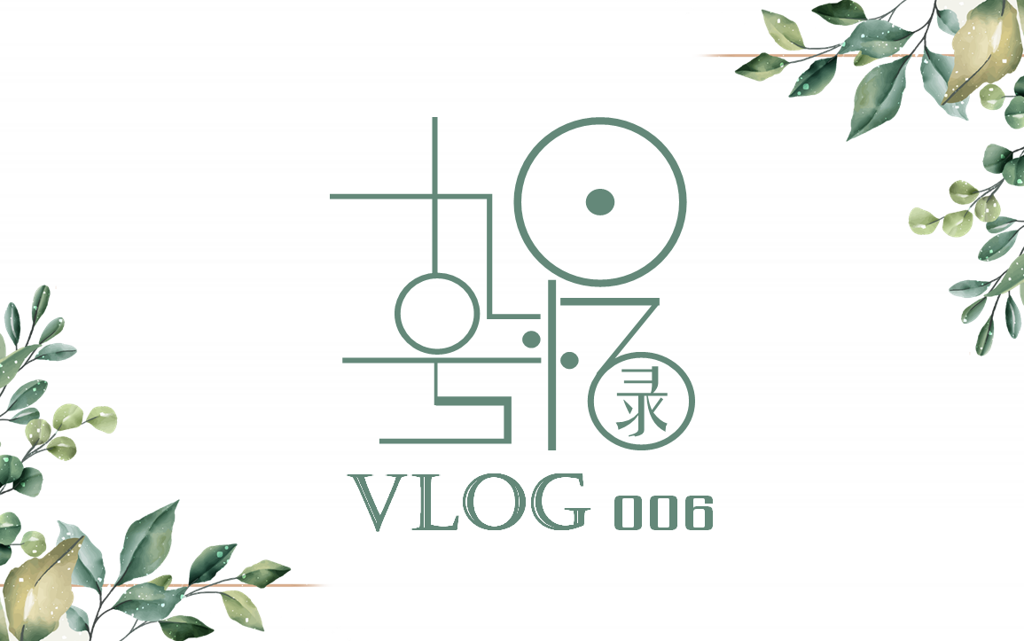 Vlog006九号回忆录