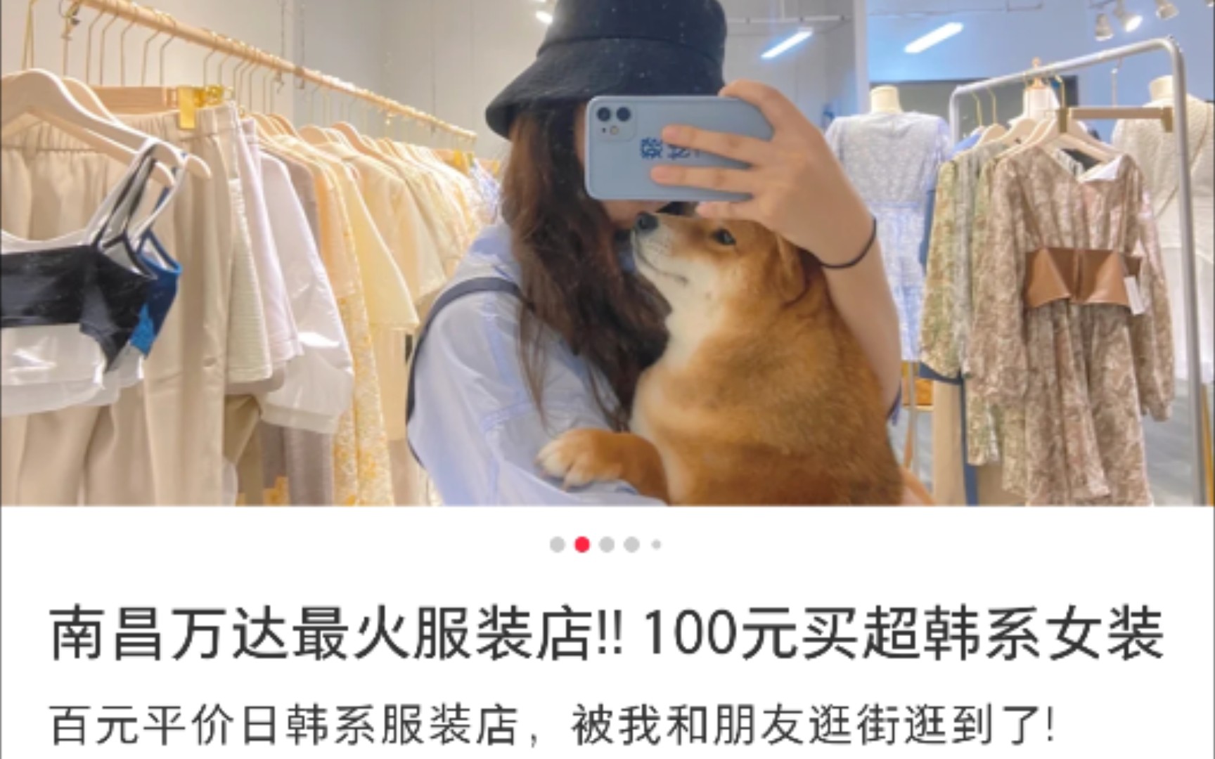 南昌万达女装店【柴犬】实拍   趴着啃骨头如同