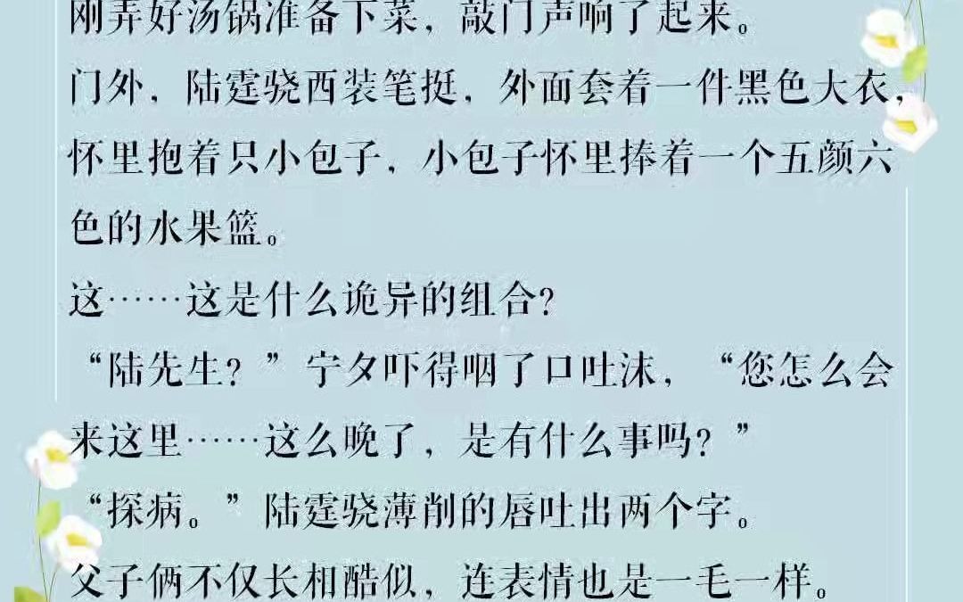 许你万丈光芒好-双洁欢脱甜宠文，现言 宠文 总