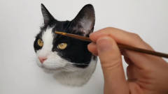 以为是绘画高手，这猫画的太逼真了，没想到仔
