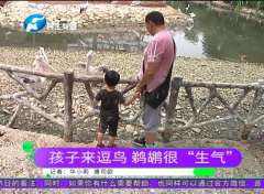 5岁男童动物园被鸟啄伤，负责人：不逗它是不会