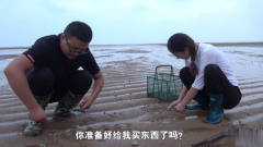 夫妻二人组赶海挑战挖海豆芽，输的人给对方买