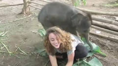 美女动物园逗小象，下一秒小象这个举动，让美