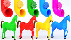 超搞笑！管道里的彩色球竟然把5只马染成了不同