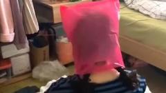 搞笑视频集锦：画完妆的女孩要如何穿衣服？高