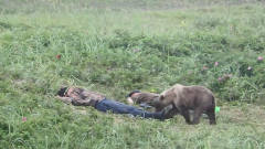 俩俄罗斯大叔野外睡觉，一头熊走过来，镜头拍