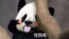 网友拍到的熊猫比爱心，哈哈哈太可爱了吧~