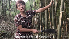 农村生活：小伙帮忙砍竹子遇上小气老表太逗了