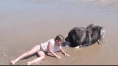 小女孩在海边拍照，不料一只巨型犬冲了过去，