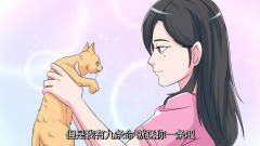 美女救了一只小猫，伤好后小猫用这种方式报恩