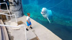 小男孩给白鲸表演杂技，白鲸被逗得哈哈大笑，