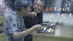 50年夫妻相濡以沫长厢厮守的爱情这样纯粹