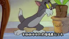 猫和老鼠四川话搞笑：汤姆猫为了抓老鼠变身化
