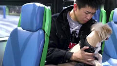 陈翔六点半：坐公交遇宠男受到惊吓，不停向宠