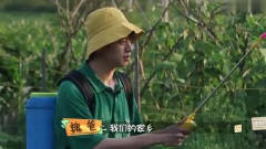 做家务的男人：魏大勋回到老家变得好勤快，吃