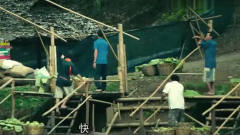 泰囧：王宝强徐峥骑大象过河，黄渤被架在屋顶