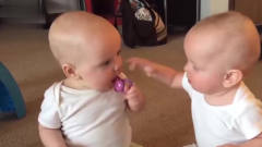 搞笑萌娃：哥哥，你知道你手里的玩具把妹妹馋