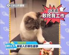 网罗天下20180225轻松时刻 萌星人的那些趣事 高清