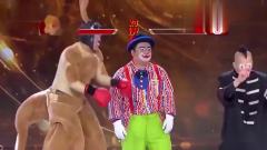 笑傲江湖：小丑现场打拳击，谁知被直接打下去