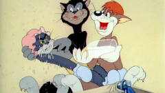 猫和老鼠：汤姆被整的没缓过神来，眼睁睁看着