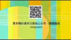 小松鼠头卡在塑料杯中 反应超萌超搞笑