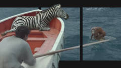 裸眼3d：论少年与动物的海上漂流，各种搞笑瞬间