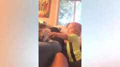 小宝宝想跟猫一起玩，结果被猫咪一拳打懵了，